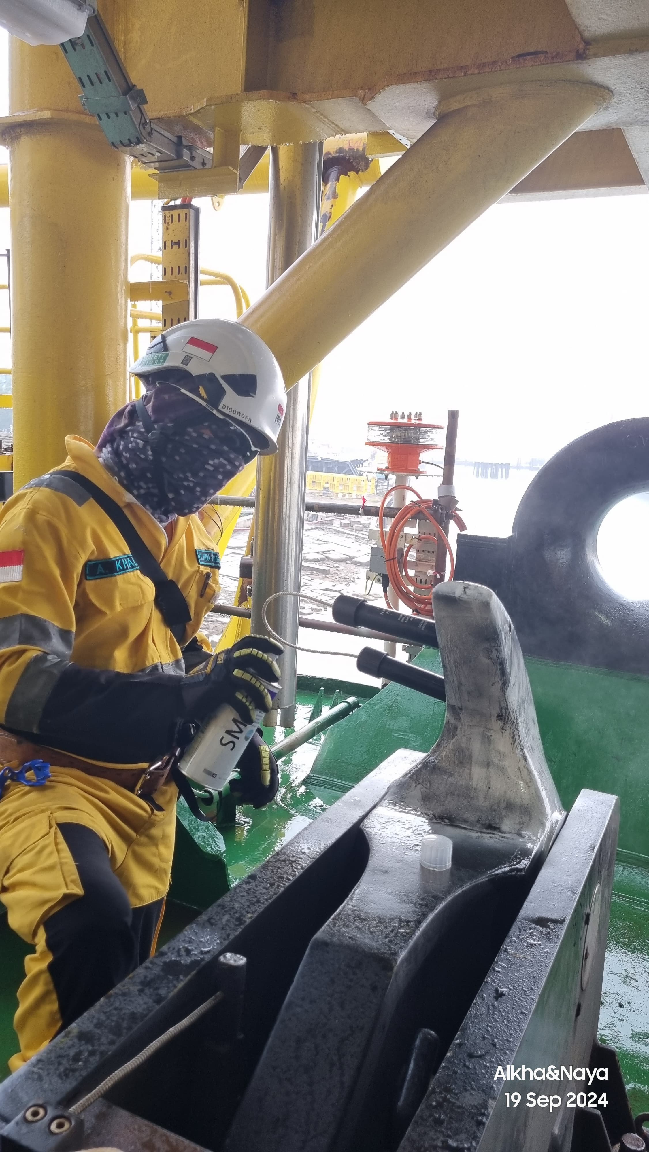 Bulk Cargo Transport